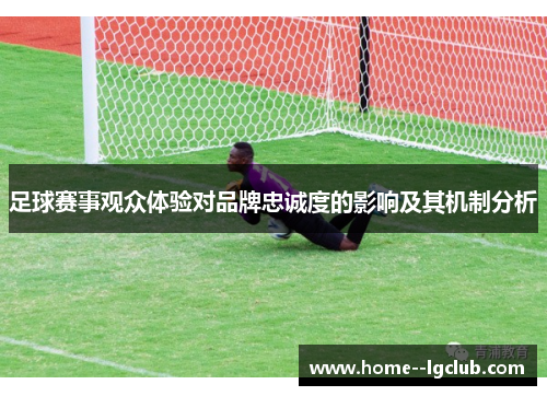 足球赛事观众体验对品牌忠诚度的影响及其机制分析 足球赛事观众体验对品牌忠诚度的影响及其机制分析