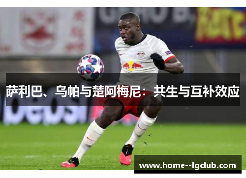 萨利巴、乌帕与楚阿梅尼:共生与互补效应 萨利巴、乌帕与楚阿梅尼:共生与互补效应