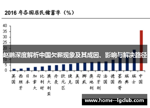 赵鹏深度解析中国欠薪现象及其成因、影响与解决路径 赵鹏深度解析中国欠薪现象及其成因、影响与解决路径