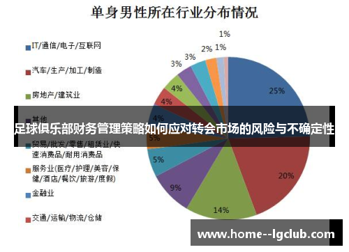足球俱乐部财务管理策略如何应对转会市场的风险与不确定性 足球俱乐部财务管理策略如何应对转会市场的风险与不确定性