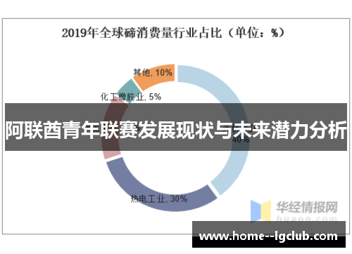 阿联酋青年联赛发展现状与未来潜力分析 阿联酋青年联赛发展现状与未来潜力分析